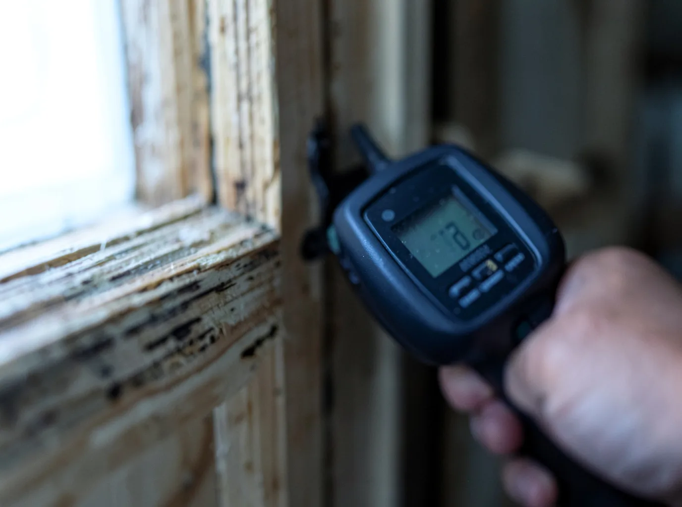 Moisture Inspection And Documentation in Perry, IA